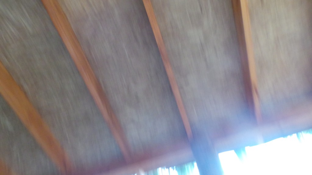 20141123_105228